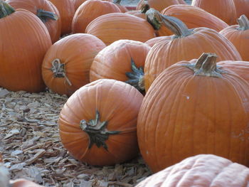 Full frame shot of pumpkins for sale at market