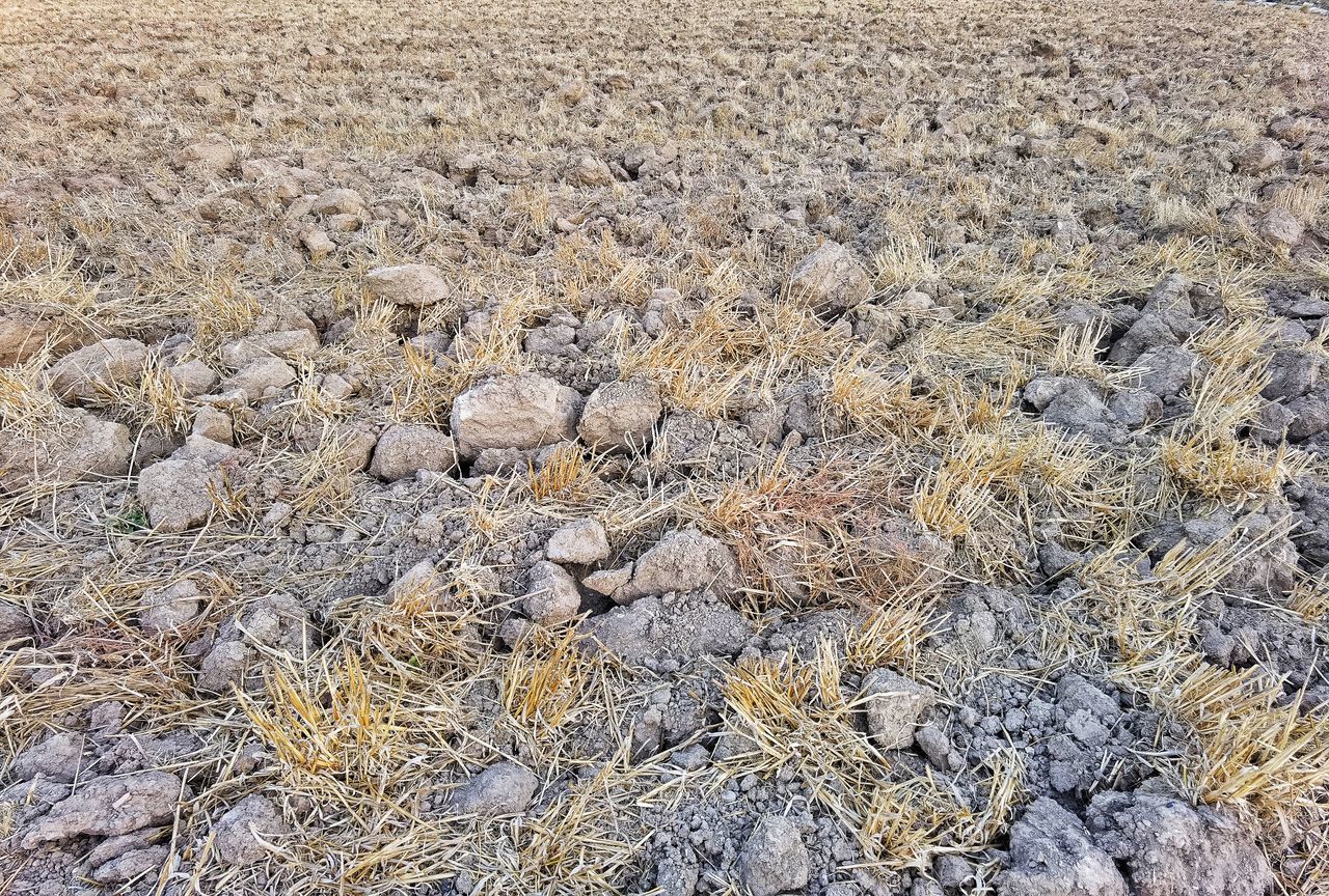 FULL FRAME SHOT OF CRACKED LAND