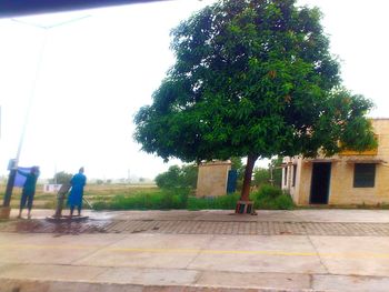 Woman standing on tree trunk