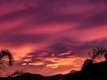 Low angle view of silhouette trees against dramatic sky