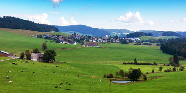 Blick auf breitnau im schwarzwald, baden-württemberg, deutschland