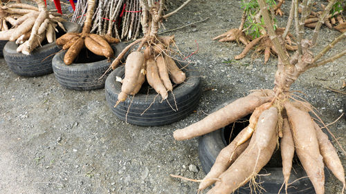 Sweet potatoes on tires at farmers market 