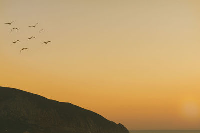 Silhouette birds flying against clear sky during sunset