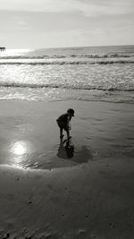 Dog standing on beach