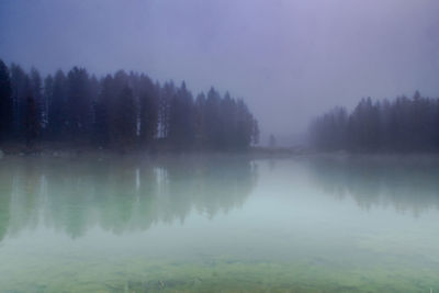 Reflection of trees in lake against sky