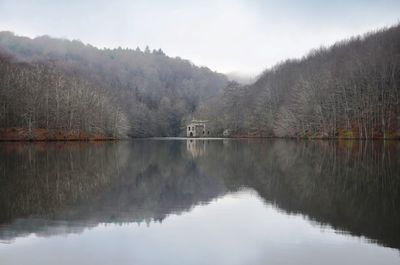 Scenic view of lake by trees against sky