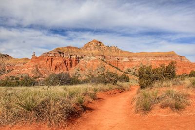 View of a desert