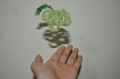 Cropped image of hand holding over white background