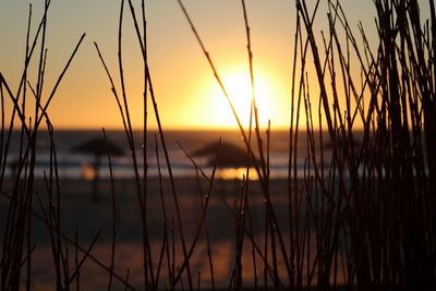 Scenic view of sunset over sea