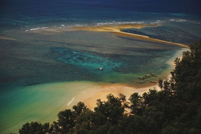 High angle view of trees and sea against sky