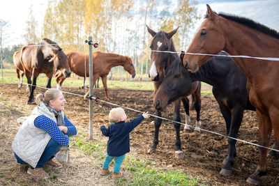 Mother and son looking at horses in ranch