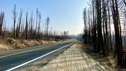 Forest fire along road