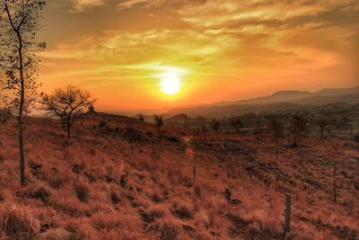 Scenic view of landscape against sky during sunset