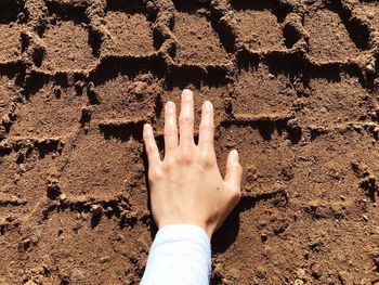 Cropped hand touching tire track on sand