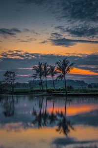 Silhouette trees by lake against sky during sunset