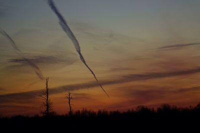 Silhouette of trees at sunset