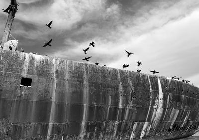 Low angle view of seagulls flying against sky