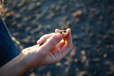 Close-up of woman hand holding stick