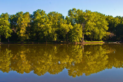 Scenic view of lake by trees against sky