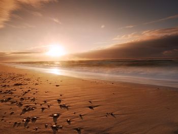 Stones and water trails in beach sand. traces on beach at smooth sea, coastline in summer evening