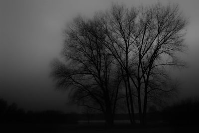 Silhouette of bare trees against sky