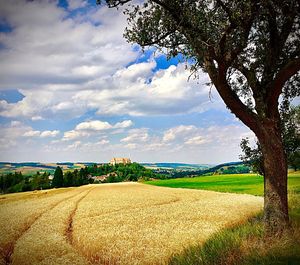 Scenic view of field against sky