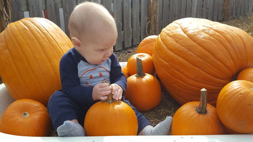 Baby boy sitting in pumpkin patch