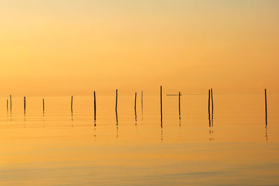 Wooden posts in sea against orange sky