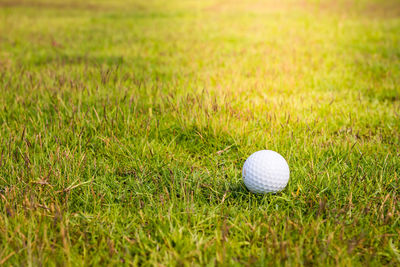 Close-up of ball on grassland