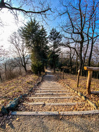 Footpath amidst trees in park against sky