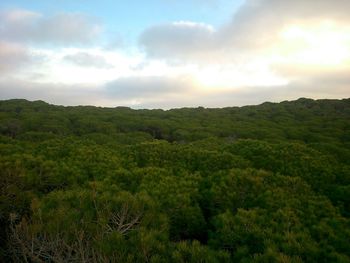 Scenic view of landscape against cloudy sky