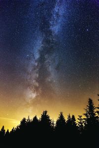 Low angle view of silhouette trees against sky at night