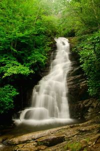 Scenic view of waterfall in forest