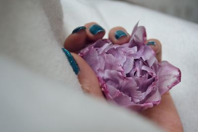 Close-up of hand holding pink flower