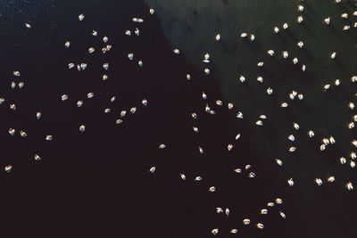 Defocused image of illuminated lights against sky at night