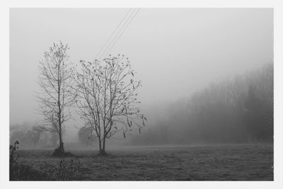 fog