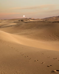 Scenic view of desert against sky during sunset