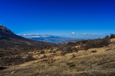 Scenic view of landscape against clear blue sky