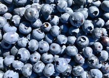 Full frame shot of berries