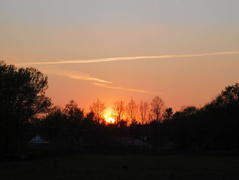 Silhouette trees on field against sky during sunset