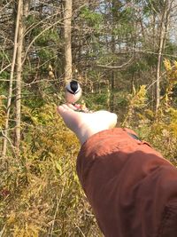 Midsection of person holding bird on land