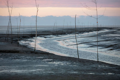 Snow covered land by sea against sky during sunset