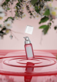 Close-up of red flower on table