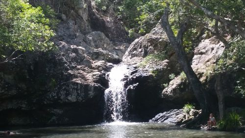 Scenic view of waterfall in forest