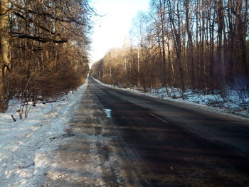 Road amidst trees against sky during winter