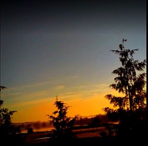 Low angle view of silhouette trees against clear sky