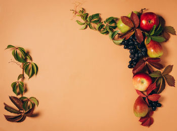 Directly above shot of berries growing on table against wall