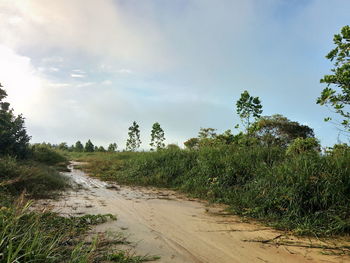 Scenic view of landscape against sky