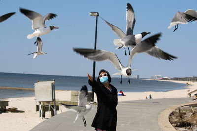 Seagulls flying over beach against sky