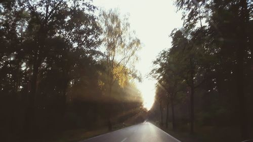 Road passing through forest